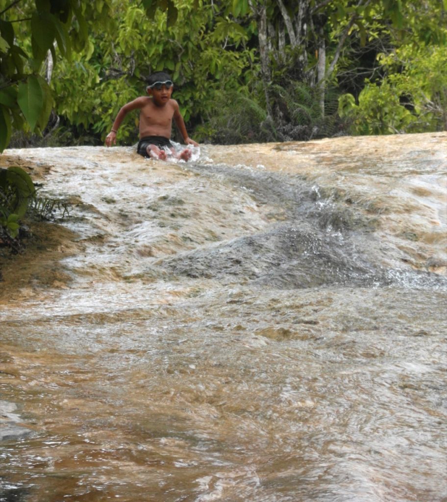 甲米翡翠池森林步道旁的天然水色