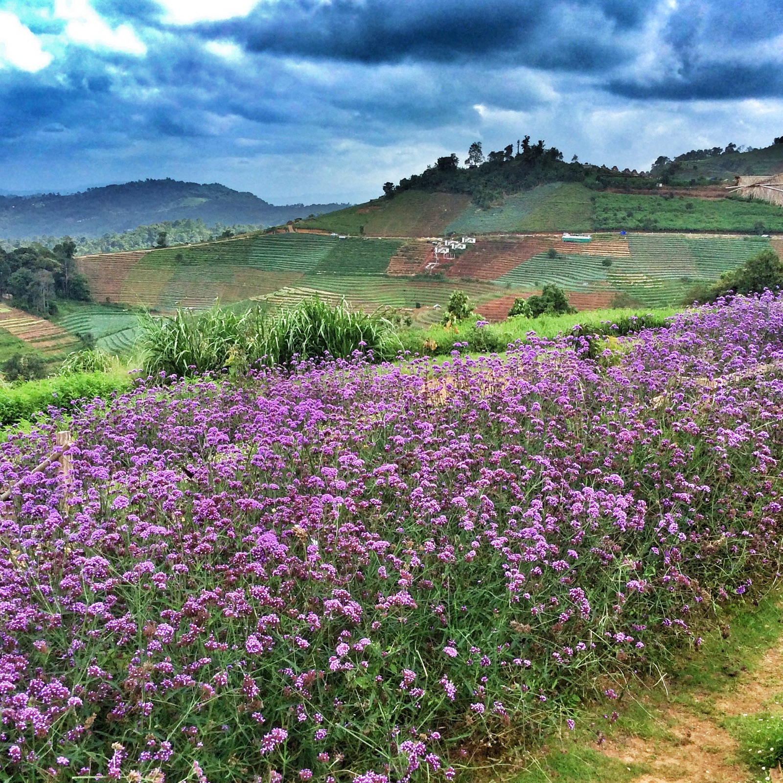 雨季清迈湄林 Mon Cham 山景和观景区域