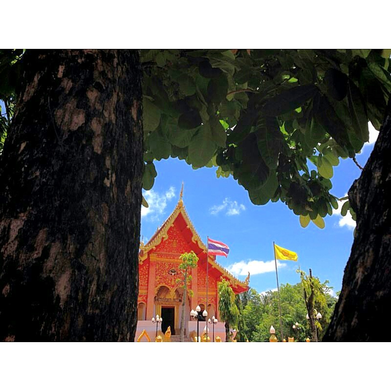 Wat Phra Lao Thep Nimit 殿内金色佛像