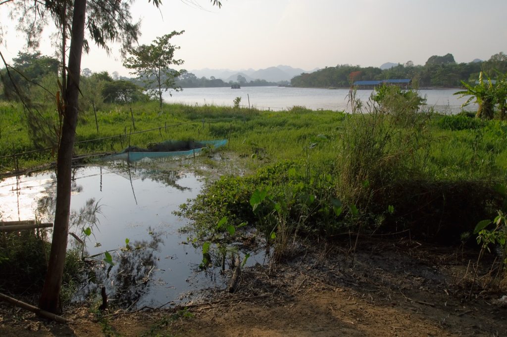 北碧桂河河面视角，适合说明河边住宿更偏放空和慢旅行