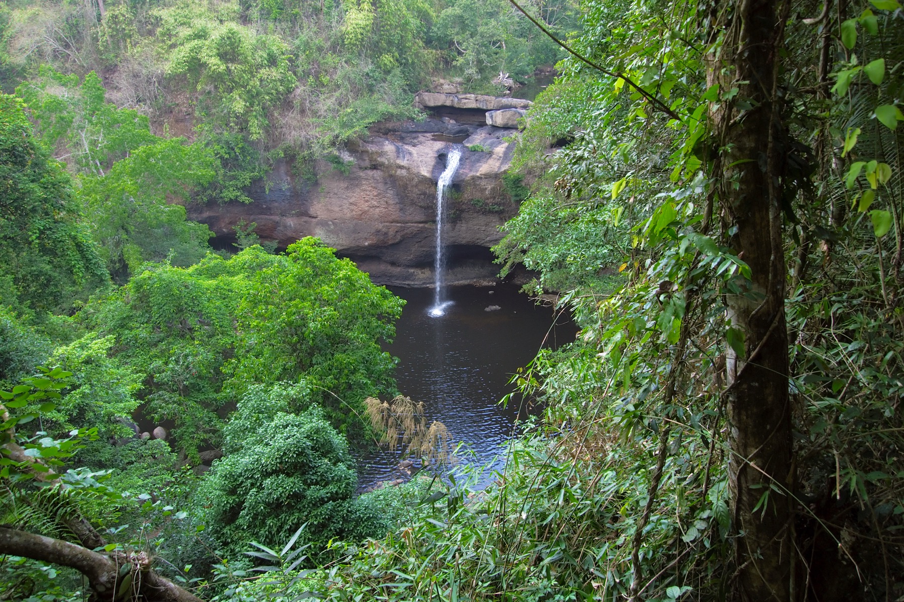 考艾国家公园 Haew Suwat Waterfall 瀑布和森林