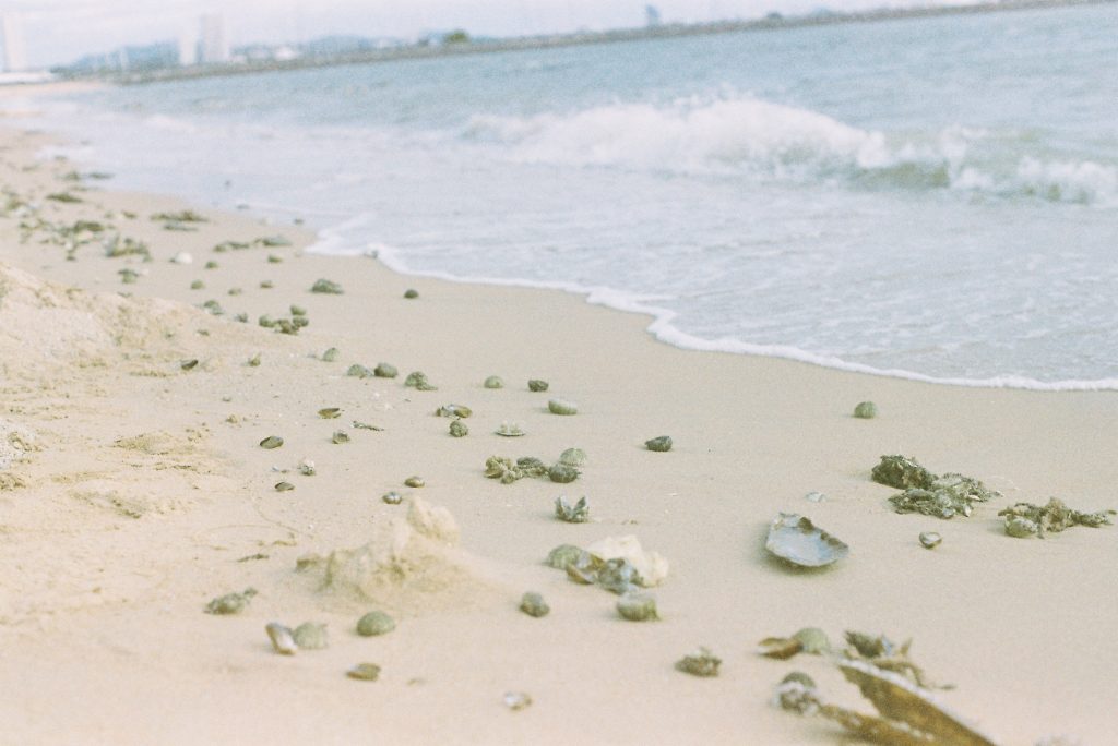 芭提雅雨季海滩出现海浪和漂浮物