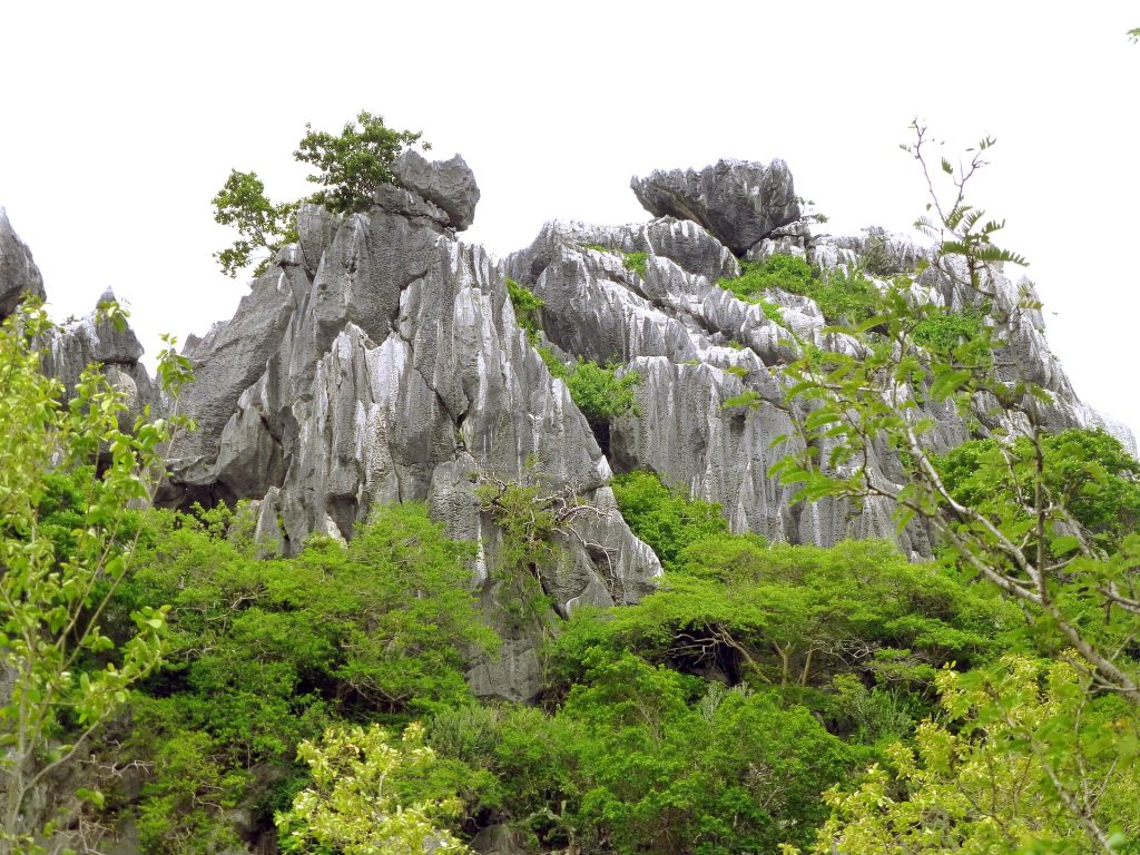 考三百峰国家公园的灰色锯齿状石灰岩壁