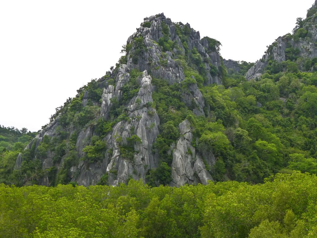 植被覆盖的考三百峰石灰岩峰群