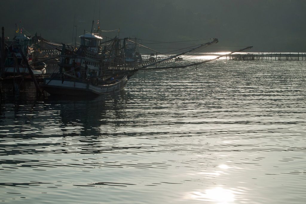 阁骨岛东部海湾近岸停泊的多艘木质渔船