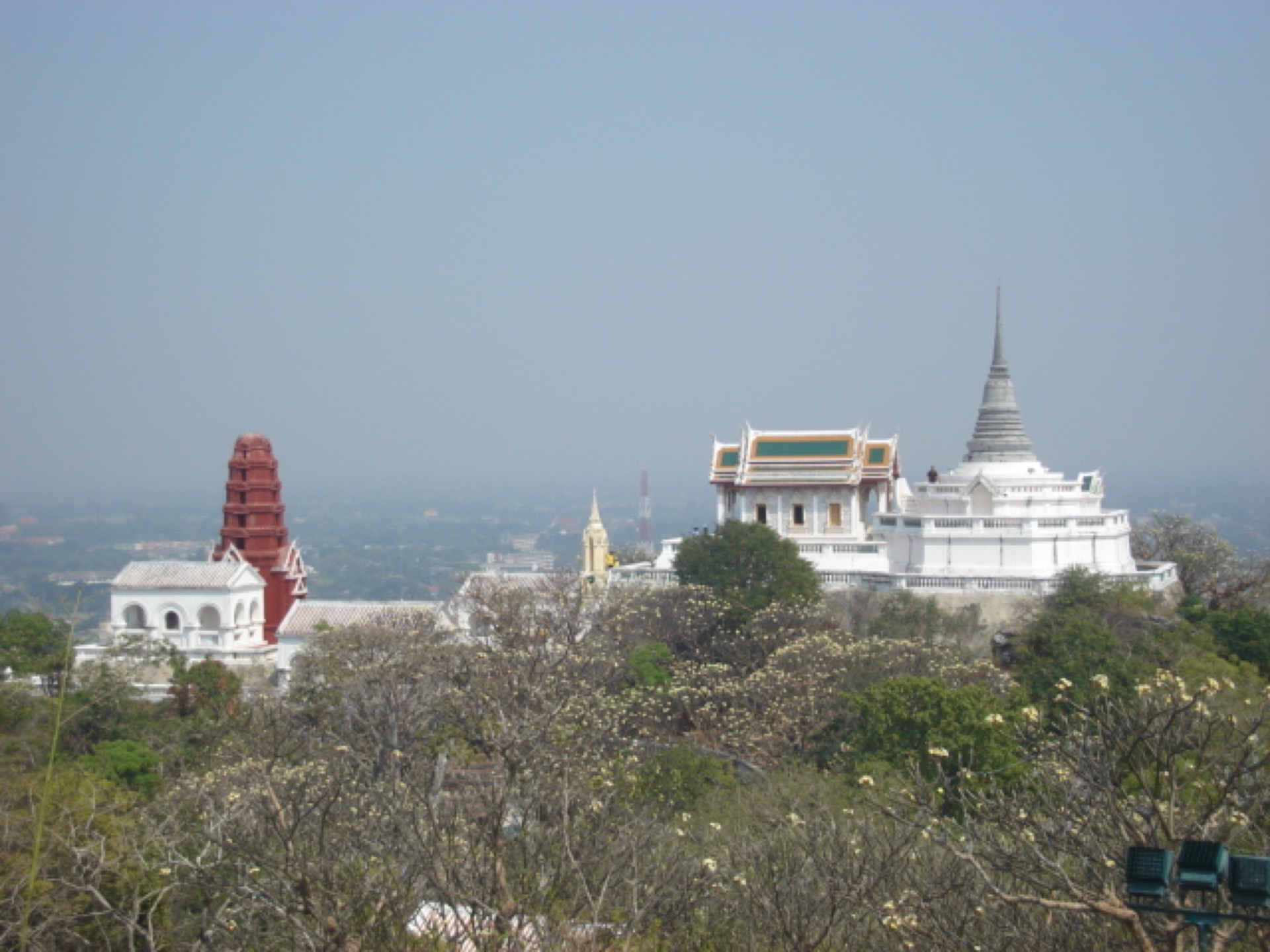 东峰林地上的红塔、小玉佛寺殿顶与白塔