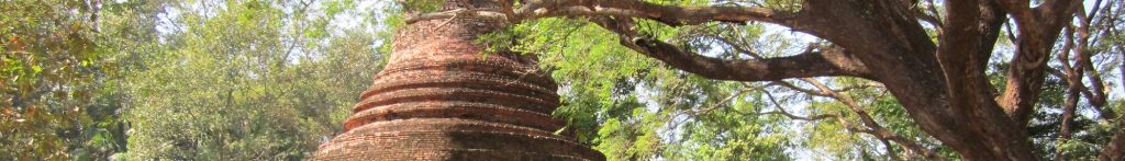 披集历史公园景观