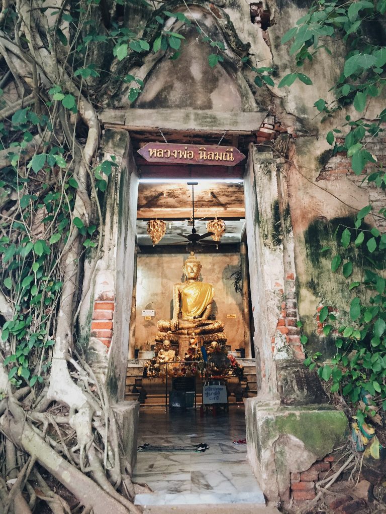 树根环绕的邦功寺佛堂入口与门内金色主尊