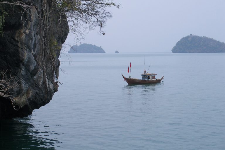 从塔鲁岛海岸读到千峰石堡的石灰岩尖塔