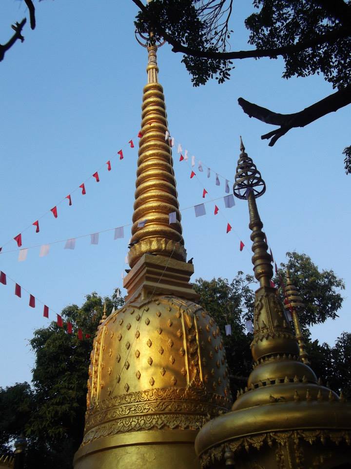 查克西卧佛寺树荫下的金色佛塔与细长塔刹