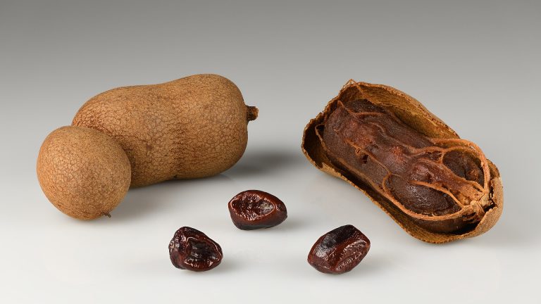 碧差汶甜罗望子摆上摊，先看果荚再问品种