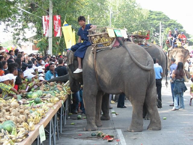 素林大象节喂食长桌旁，两头大象站在瓜果与拥挤观众之间