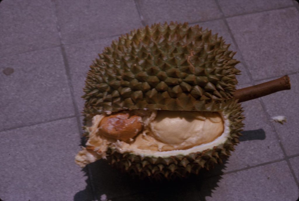 一只榴莲在灰色地面上剖开，果壳内露出两房果肉