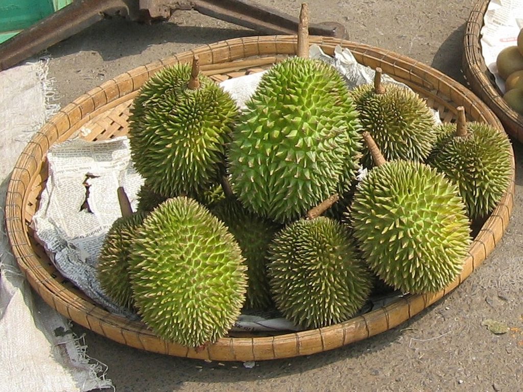 编织圆筐中摆放着多只大小不一的青绿色榴莲
