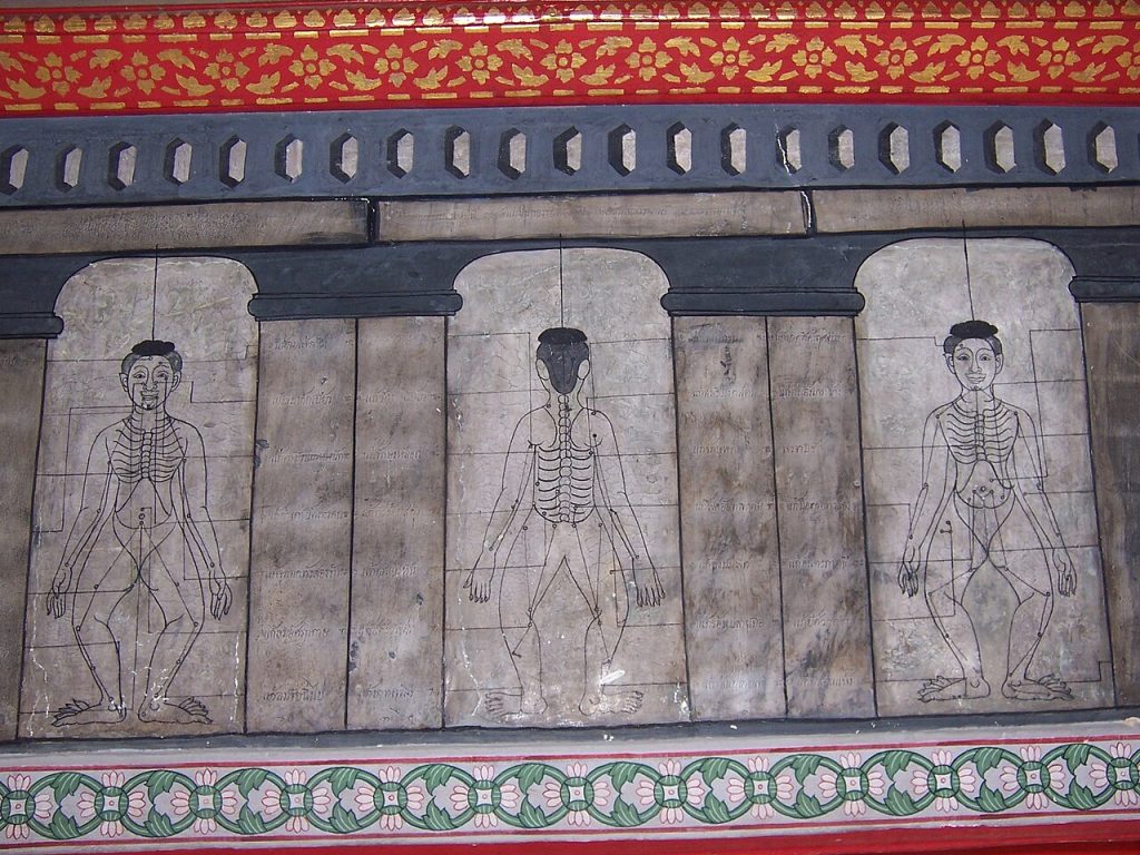 曼谷卧佛寺墙上三幅带泰文标注的人体经线图