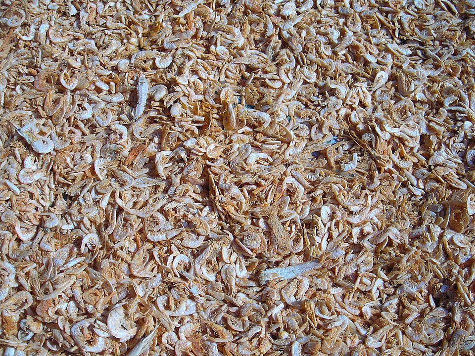 铺满画面的细小干虾