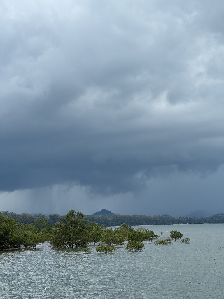 巴蒙码头附近海面红树林与远处暴雨云