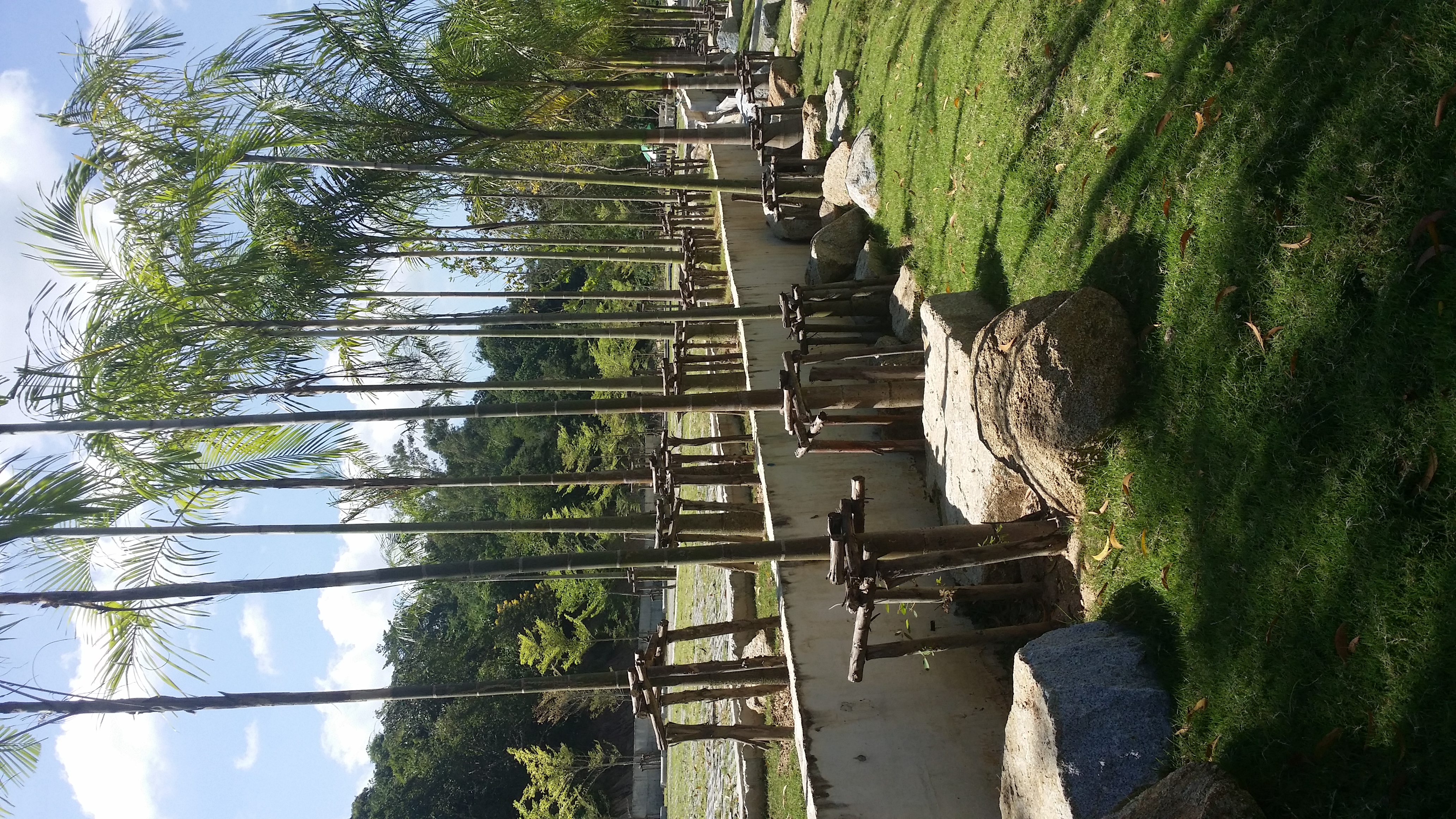 2014年Khao Kheow园内高树、木制支架、浅色矮墙、石块与草地,原图为竖幅