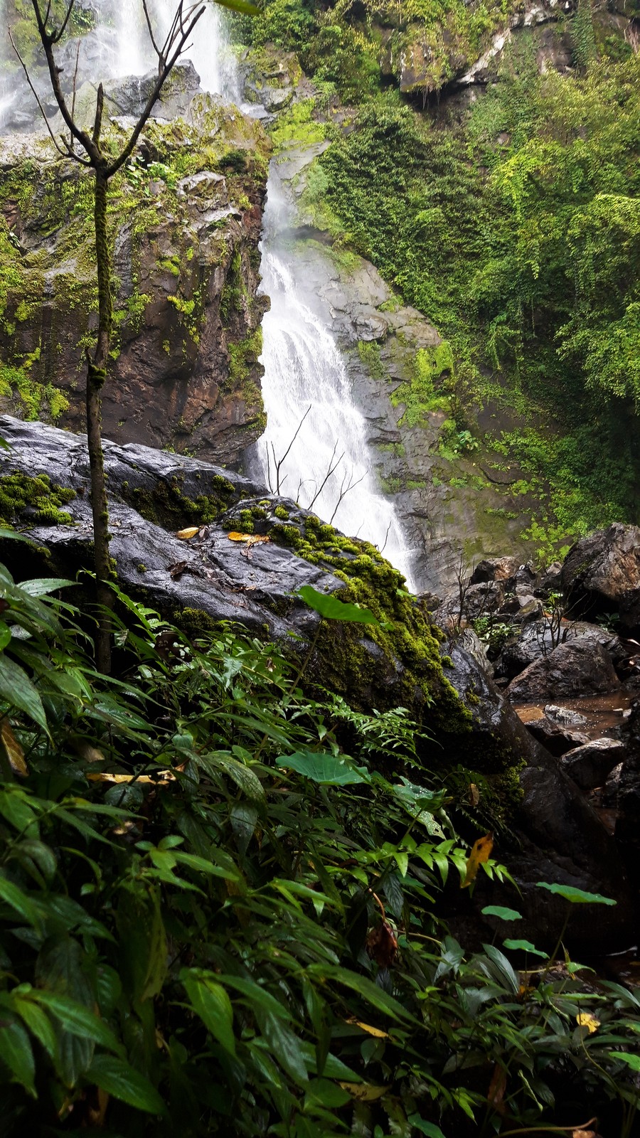 泰国甘烹碧府Khlong Lan瀑布,林缘与岩台之间的瀑布水流。