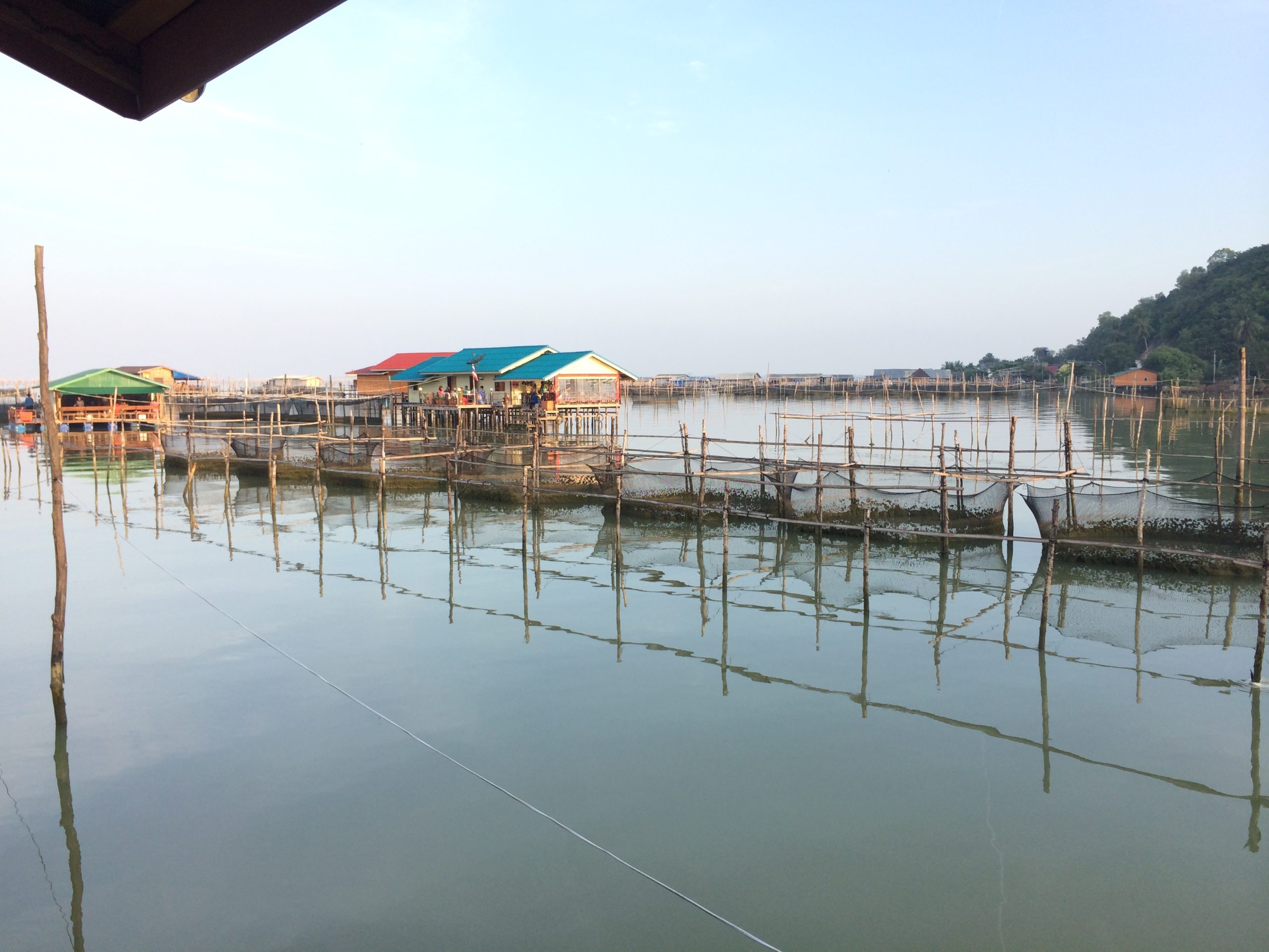 阁遥岛湖面上的木架、水上结构与岸边建筑
