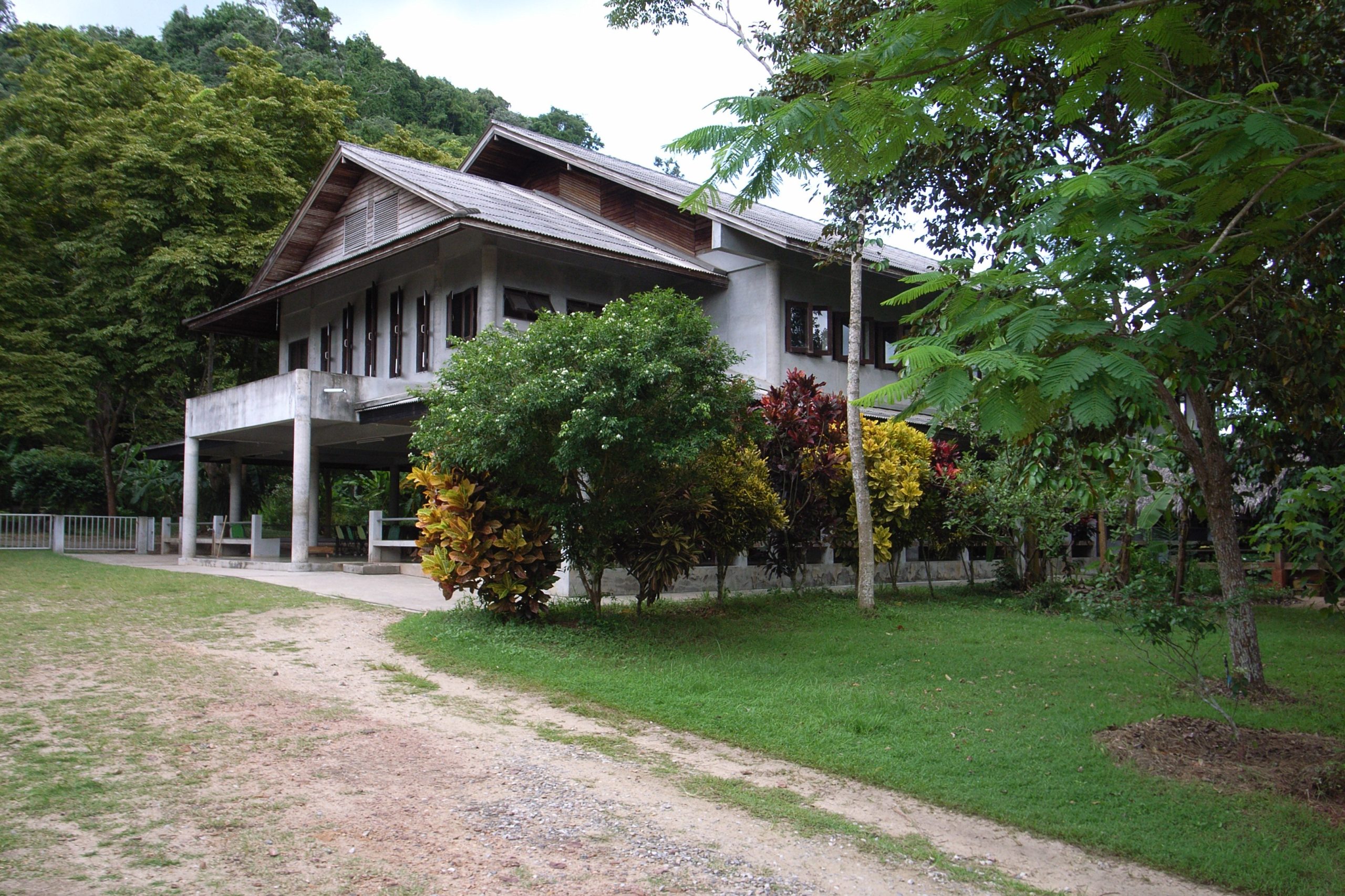 2009年柴亚Suan Mokkh:国际禅修园里的浅色建筑,木窗与山墙藏在树冠下
