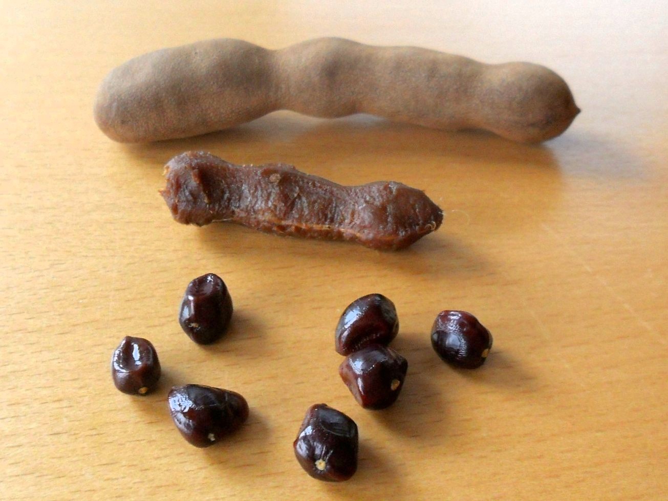 罗望子果荚、果肉和种子